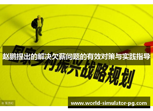 赵鹏提出的解决欠薪问题的有效对策与实践指导 赵鹏提出的解决欠薪问题的有效对策与实践指导