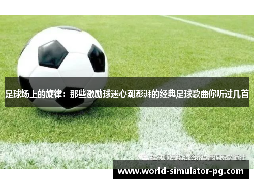 足球场上的旋律：那些激励球迷心潮澎湃的经典足球歌曲你听过几首