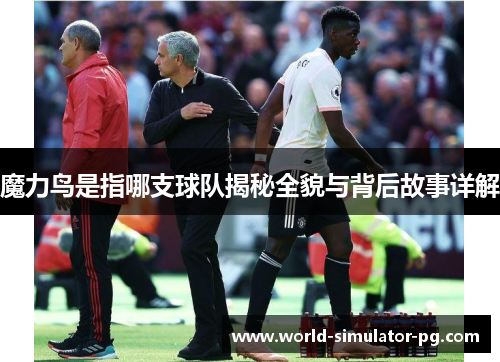 魔力鸟是指哪支球队揭秘全貌与背后故事详解 魔力鸟是指哪支球队揭秘全貌与背后故事详解