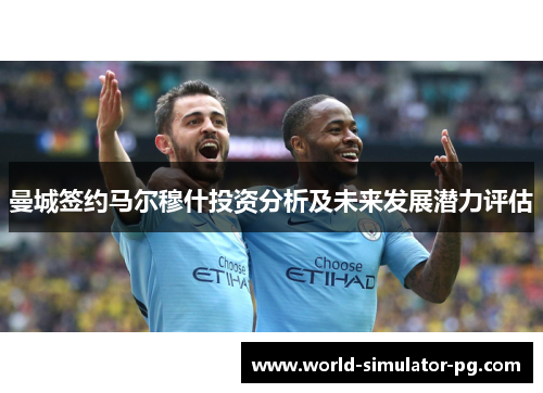 曼城签约马尔穆什投资分析及未来发展潜力评估