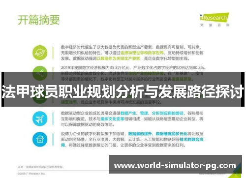 法甲球员职业规划分析与发展路径探讨