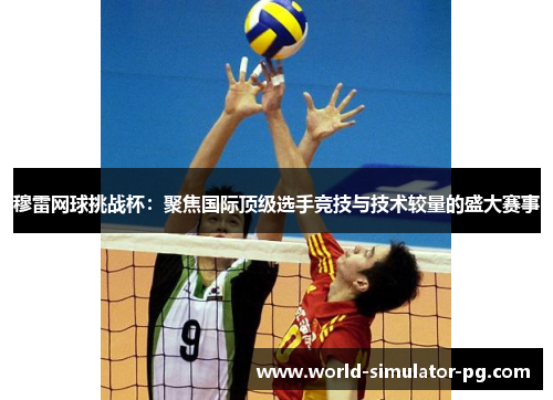 穆雷网球挑战杯：聚焦国际顶级选手竞技与技术较量的盛大赛事