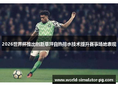 2026世界杯推出创新草坪自热排水技术提升赛事场地表现