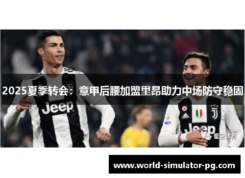 2025夏季转会：意甲后腰加盟里昂助力中场防守稳固